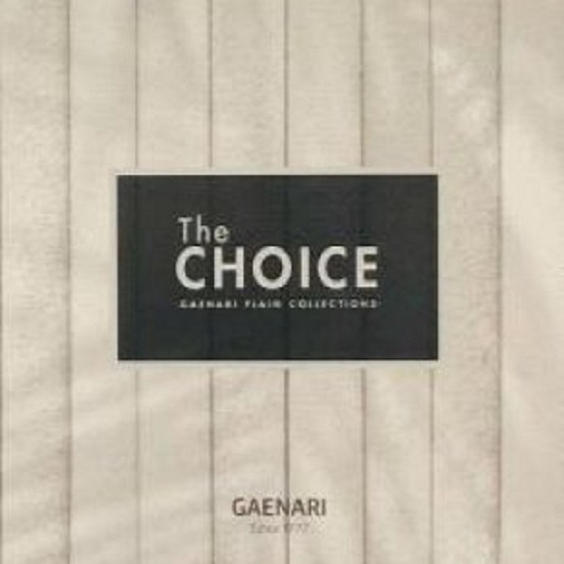pre_gaenari_the_choice_1-(1)2
